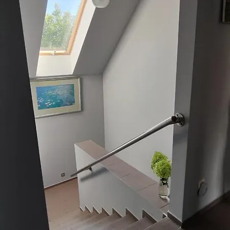 Mrowisko Гостевой дом Maslowice (Slawno)