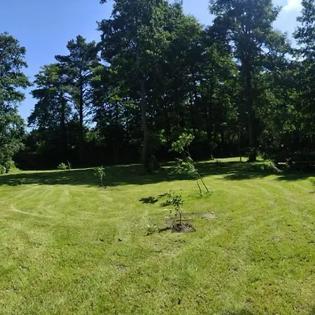 Mrowisko 3*