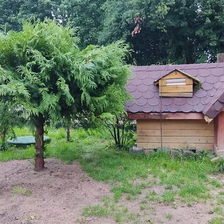 Mrowisko Guest house 3*