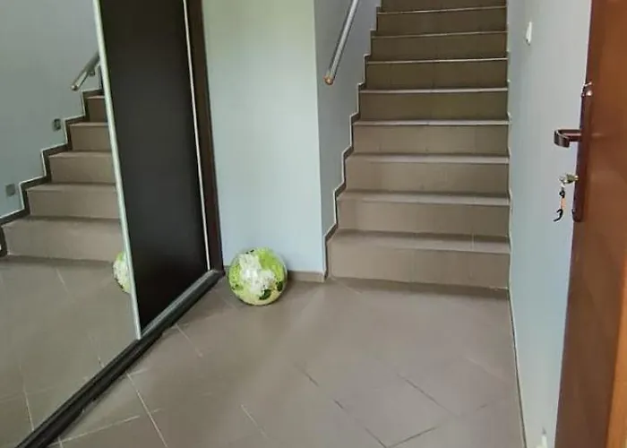 Mrowisko 3* Maslowice (Slawno)