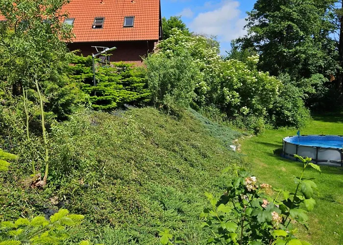 בית הארחה Mrowisko 3*